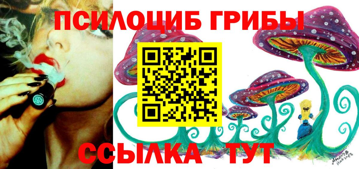 Псилоцибиновые грибы Psilocybe  Галлюциногенные грибы GOLDEN TEACHER  Набережные Челны  Вход с VPN 